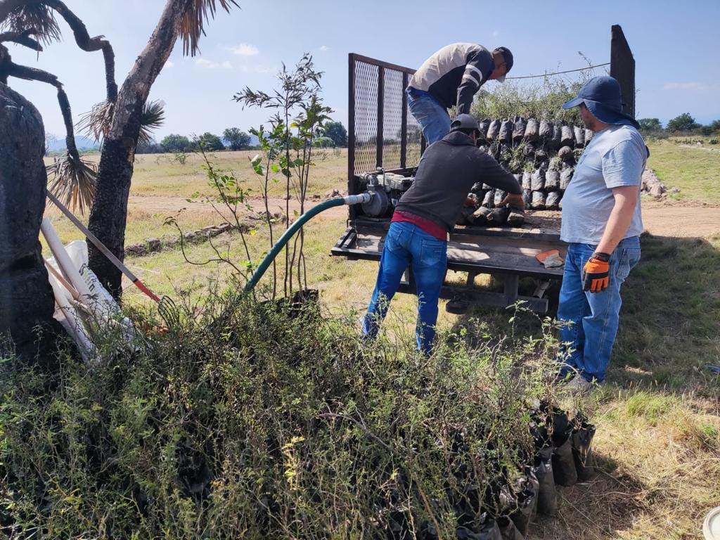 PRAMSEI: Proyectos ambientales en etapas constructivas y operativas (81)